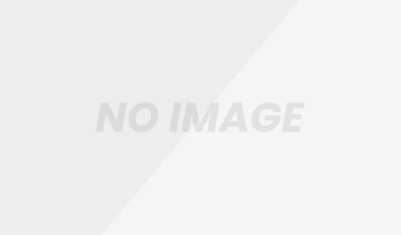 AIが弱点を指摘:Ankiが忘却を防ぐ=「紙の勉強だけではNG」